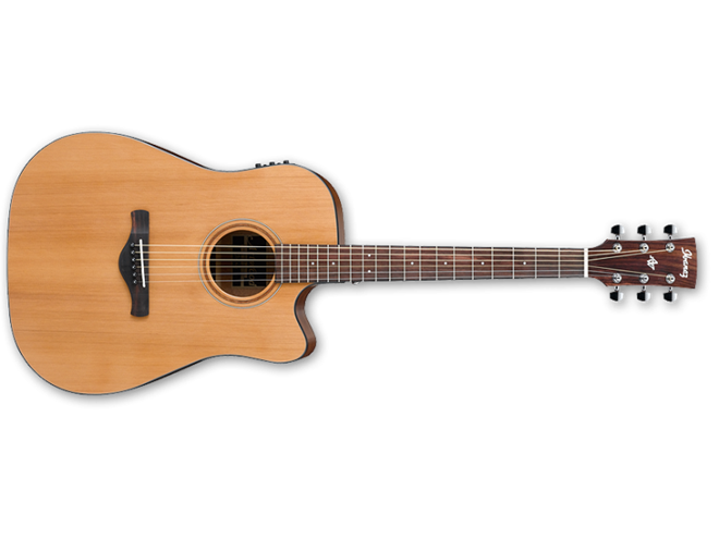 IBANEZ AW65ECE LG Elektro-akustična kitara