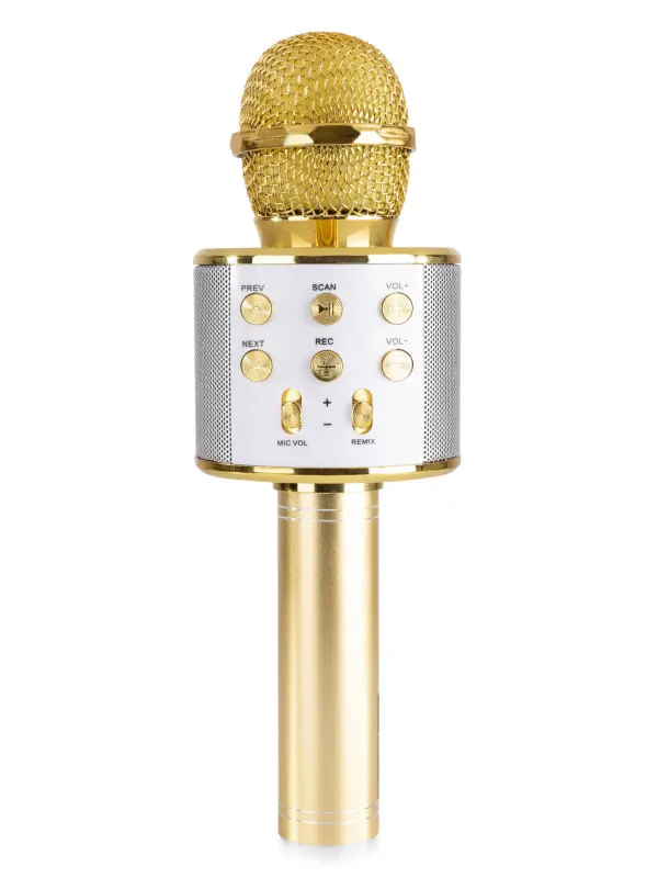 VONYX  karaoke mikrofon z vgrajenim zvočnikom
